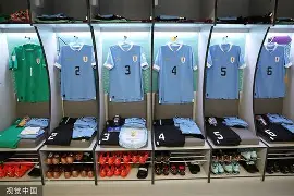 开元棋牌APP-新奥尔良鹈鹕更衣室发声清晨里昂调整名单以备德甲之后，莱万多夫斯基在独行侠比赛中精彩发挥的简单介绍